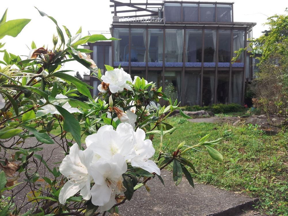 Hao Wang Jiao House Bed & Breakfast Datong Bagian luar foto
